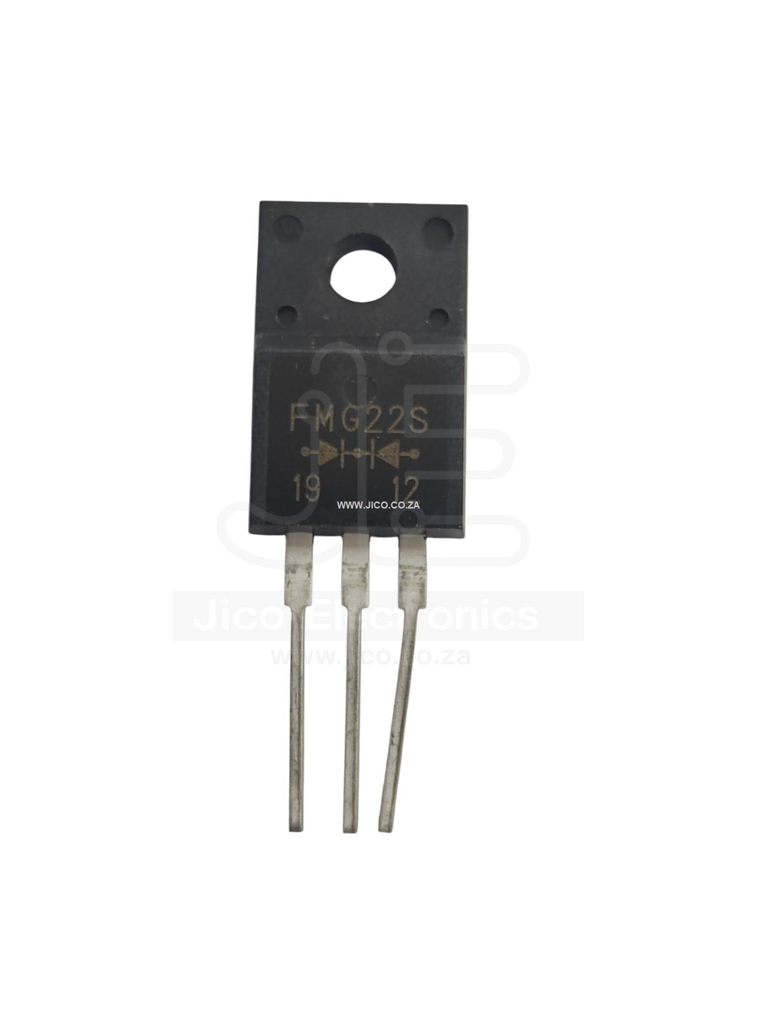 fmg22s.jpg fmg22s.jpg